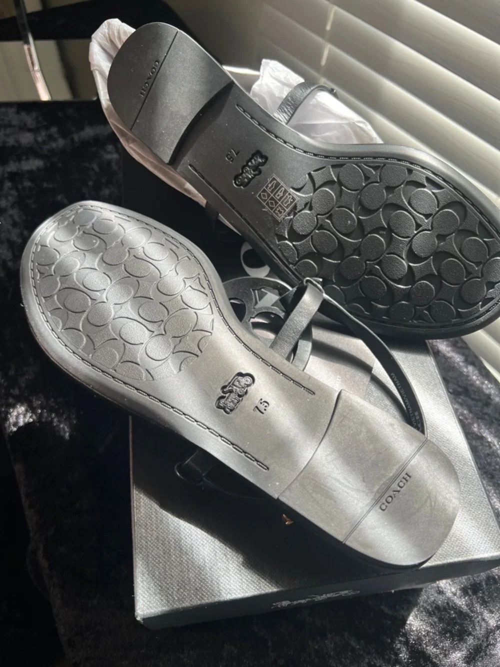 Coach Jaci Leather Sandal in Black - Picture 4 of 5